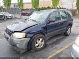 Ford Escape Xls 1FMYU02173KE13034 снимка