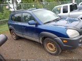 Hyundai Tucson Gl/Gls KM8JM72D07U685729 снимка