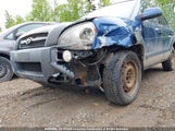Hyundai Tucson Gl/Gls KM8JM72D07U685729 снимка