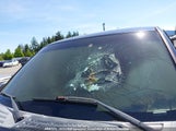 Ford F150 1FTPX145X6NA58215 снимка