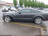 Ford Mustang Gt 1ZVHT82H985181736 снимка