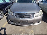 Nissan Fuga PY50303561 снимка
