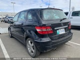 Mercedes-Benz B200 WDDFH33X97J255723 снимка