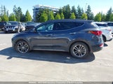 Hyundai Santa Fe Sport 5XYZUDLA5JG553388 fotografie