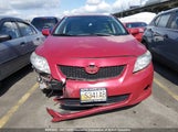 Toyota Corolla S/Le/Xle 2T1BU40E49C088831 снимка