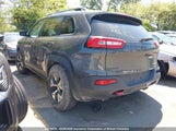 Jeep Cherokee Trailhawk 1C4PJMBS6GW289636 снимка