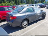Toyota Corolla S/Le/Xle 2T1BU40E99C031377 снимка