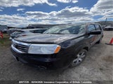 Honda Pilot 5FNYF4H96FB504784 photo