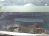 Toyota Corolla S/Le/Xle 2T1BU40E89C074785 снимка