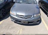 Acura Tsx JH4CL96848C801156 photo