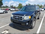 Ford Escape Xlt 1FMCU0DG7BKB68715 fotografie