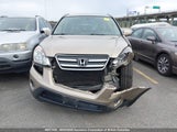 Honda Cr-V Se/Ex JHLRD78955C814693 photo