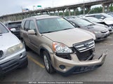 Honda Cr-V Se/Ex JHLRD78955C814693 photo