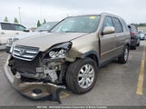 Honda Cr-V Se/Ex JHLRD78955C814693 photo