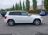 Mercedes-Benz Glk 250 Bluetec WDCGG0EB3FG419202 снимка