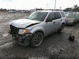 FORD ESCAPE XLT 1FMCU0D73BKA56669 снимка