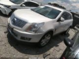 CADILLAC SRX PERFORMANCE COLLECTION photo