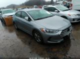 HYUNDAI ELANTRA SE photo