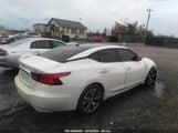 NISSAN MAXIMA 3.5 SL 1N4AA6AP6HC403481 снимка