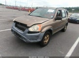 Honda Cr-V Lx JHLRD68443C007304 снимка