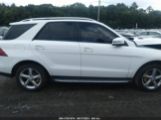 MERCEDES-BENZ GLE 350 photo