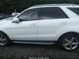 MERCEDES-BENZ GLE 350 photo