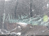 Ford Fusion Sel 3FA6P0CD1LR218589 снимка