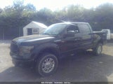 FORD F-150 LARIAT/FX4/XL/XLT 1FTFW1EV4AFB48928 fotografie