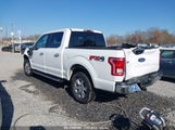 FORD F-150 XLT 1FTEW1EG9FFC84847 снимка