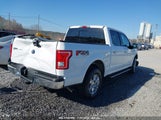 FORD F-150 XLT 1FTEW1EG9FFC84847 снимка