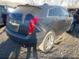 CADILLAC SRX PREMIUM COLLECTION photo