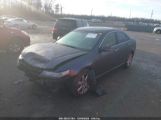 ACURA TSX photo