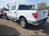 Ford F-150 Fx4/Lariat/Xl/Xlt 1FTFW1EV1AFA56644 fotografie