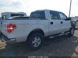 Ford F-150 Fx4/Lariat/Xl/Xlt 1FTFW1EV1AFA56644 fotografie