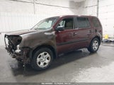 HONDA PILOT LX 5FNYF4H22BB056797 снимка
