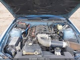 FORD MUSTANG GT 1ZVFT82HX65****** снимка