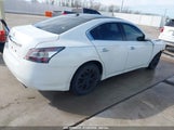 NISSAN MAXIMA 3.5 SV 1N4AA5AP2EC458158 снимка