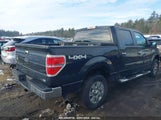 FORD F-150 FX4/HARLEY-DAVIDSON/LARIAT/XL/XLT 1FTFW1EV3AFB21316 снимка