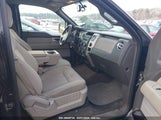 FORD F-150 FX4/HARLEY-DAVIDSON/LARIAT/XL/XLT 1FTFW1EV3AFB21316 снимка