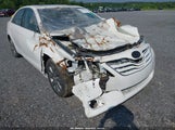 Toyota Camry Xle V6 4T1BK3EK3AU607904 photo