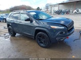 Jeep Cherokee Trailhawk 1C4PJMBB0GW293021 снимка
