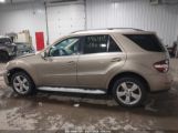 MERCEDES-BENZ ML 350 4MATIC photo