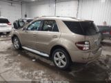 MERCEDES-BENZ ML 350 4MATIC photo