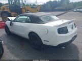 FORD MUSTANG V6 PREMIUM 1ZVBP8EM7B5109928 снимка
