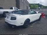 FORD MUSTANG V6 PREMIUM 1ZVBP8EM7B5109928 снимка