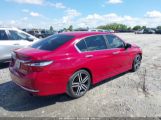 HONDA ACCORD SPORT photo