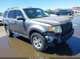 Ford Escape Hybrid 1FMCU59H18KB12843 снимка