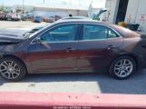 CHEVROLET MALIBU 1LT photo