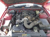 Ford Mustang V6 Deluxe/V6 Premium 1ZVHT80N085102852 photo