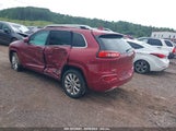 Jeep Cherokee Overland Fwd 1C4PJLJB1HW554475 fotografie
